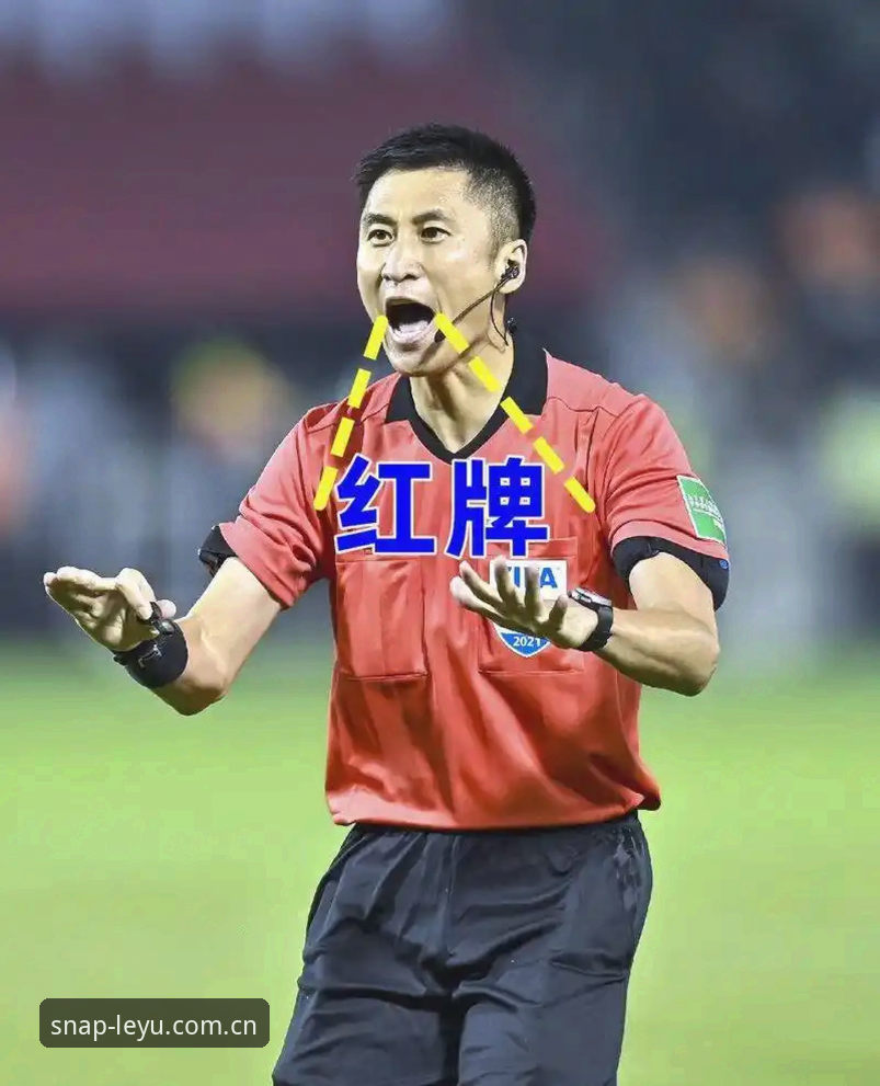 乐鱼电竞数据登录 读懂世界杯裁判生存法则,乐鱼体育带你还原马宁执裁真实视角